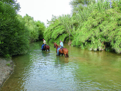 Cofanetto In sella con gusto: 1 rilassante passeggiata a cavallo con picnic per 2 persone