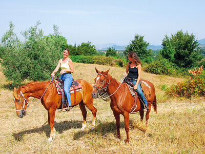 Cofanetto regalo In sella con gusto: 1 rilassante passeggiata a cavallo con picnic per 2 persone