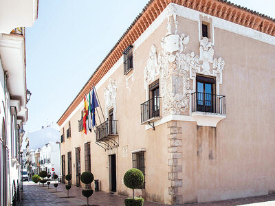 Caja regalo Almendralejo tour del vino: visita a bodega de la Ribera del Guadiana con cata