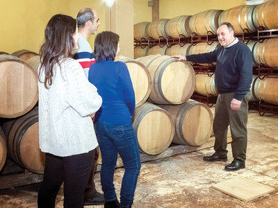 Almendralejo tour del vino: visita a bodega de la Ribera del Guadiana con cata