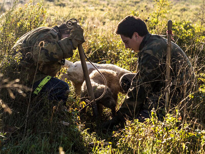 Avventura toscana per 2: caccia al tartufo a San Gimignano