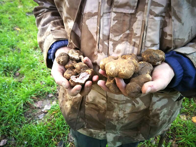 Cofanetto Avventura toscana per 2: caccia al tartufo a San Gimignano