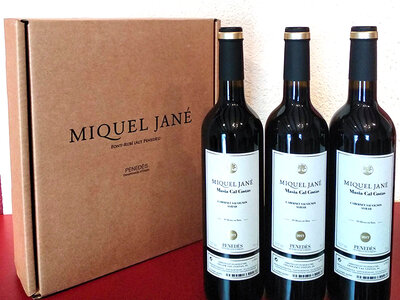 Caja Bodegas J. Miquel Jané: envío a domicilio de 3 botellas de vino tinto Baltana Selecció