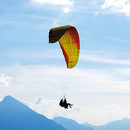 Vol en parapente en tandem dans la région de la Gruyère pour 1 personne