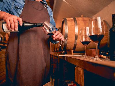 Soggiorno nell’Oltrepò Pavese: 2 notti in agriturismo con degustazione in cantina