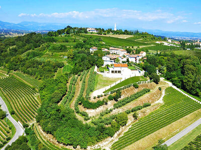 Cofanetto Nel verde del Veneto: 1 notte in B&B con escursione e noleggio bici per la famiglia