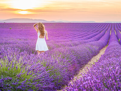 Coffret cadeau 3 jours dans les paysages charmants de la Provence avec petits déjeuners et souper pour 2