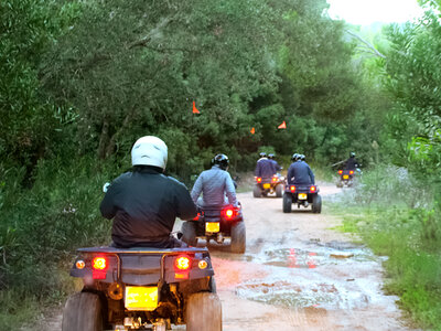 Caja La sierra de Sintra en ruta: tour en quad bike todoterreno