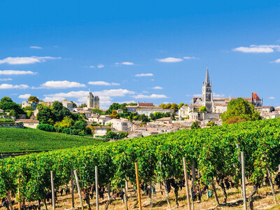 Coffret cadeau Après-midi œnologique pour 3 avec circuit guidé privé à Saint-Émilion