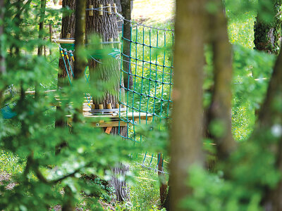 Cofanetto Avventura nel verde: ingresso al Veja Adventure Park con pranzo per 2