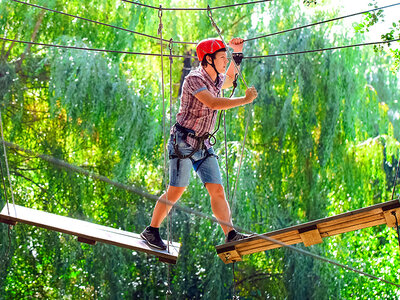 Cofanetto regalo Divertimento formato famiglia al Veja Adventure Park: biglietti d’ingresso e pranzo per 4