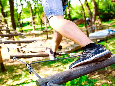 Cofanetto Divertimento formato famiglia al Veja Adventure Park: biglietti d’ingresso e pranzo per 4