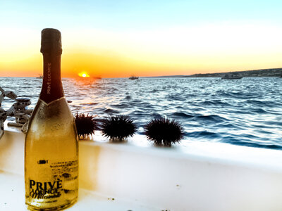 Cofanetto Tour in barca di coppia alle grotte di Santa Maria di Leuca con prosecco a bordo