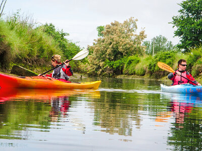 Tour in kayak alla scoperta dei luoghi naturali nascosti della Laguna di Venezia per 2