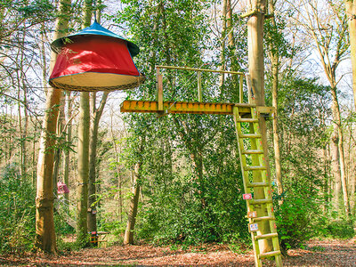 Coffret cadeau 2 jours en tente suspendue dans les arbre en Normandie