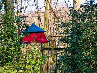 Coffret 2 jours en tente suspendue dans les arbre en Normandie