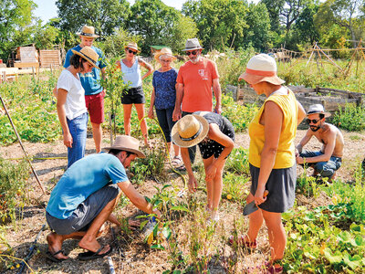 Atelier écologique de permaculture et visite guidée d'une ferme à Montpellier