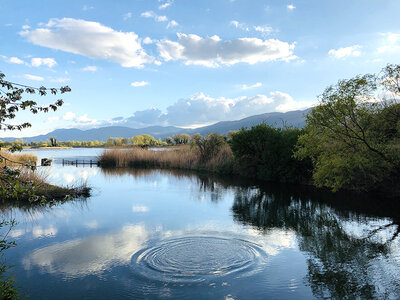 Alla scoperta del lago di Piediluco: tour in battello con aperitivo a bordo per 2