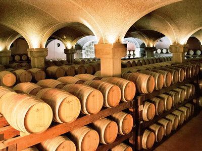 Cofanetto regalo Visita alle Cantine Argiolas con degustazione di vini e prodotti tipici per 2