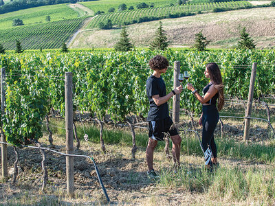 Cofanetto regalo Il tesoro di Montepulciano: visita in cantina vinicola con degustazione per 2