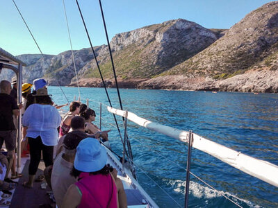 Catamarán en Valencia: travesía, fondeo en cala y paella para 2 personas