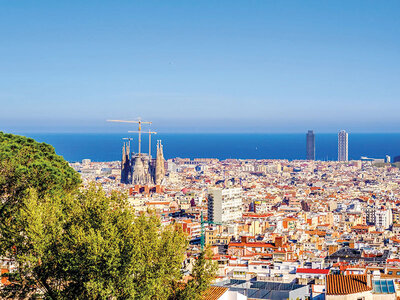 Park Güell de Barcelona: tour guiado para 2 personas