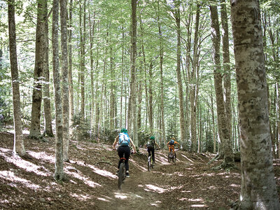 Cofanetto regalo Pedalando sul Monte Amiata: escursione in e-bike per 2 amanti dell’avventura