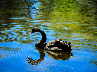 Tour por el parque de El Capricho en Madrid para 4 personas