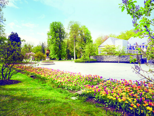 Mondorf Domaine Thermal Joyeux Anniversaire Multi Themes Mondorf Domaine Thermal Joyeux Anniversaire Multi Themes