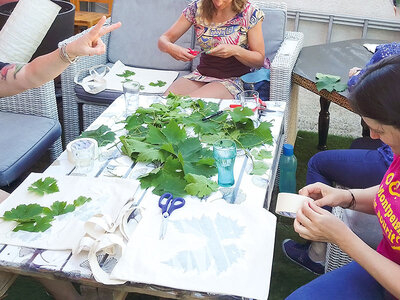Coffret Balade avec dégustation de plantes sauvages et atelier de teinture écologique