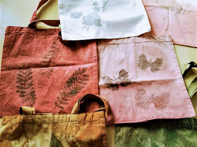 Balade avec dégustation de plantes sauvages et atelier de teinture écologique