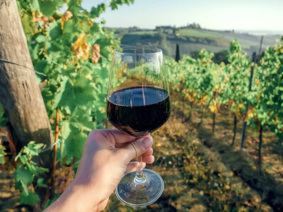 Visita enologica con degustazione di vini maremmani e schiaccia tipica per 2