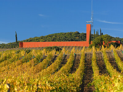 Cofanetto Visita enologica con degustazione di vini maremmani e schiaccia tipica per 2