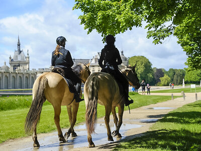 2 jours à l'hôtel Mercure 4* de Chantilly avec accès à l’espace détente et promenade équestre