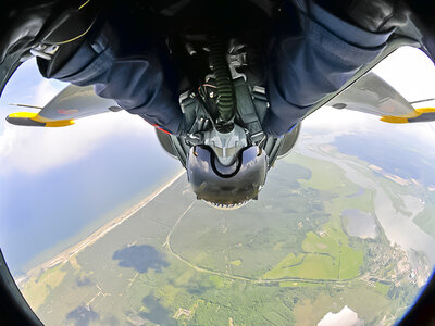 Flug in einem L-39 Albatros Kampfjet über die Schweizer Alpen