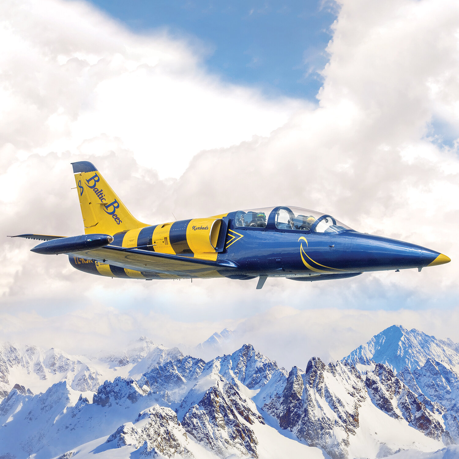Volo di 30 minuti su jet da combattimento L-39 Albatros tra le Alpi svizzere