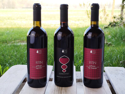Cofanetto Selezione Rubino Bacchanalis: 3 vini rossi con consegna a domicilio