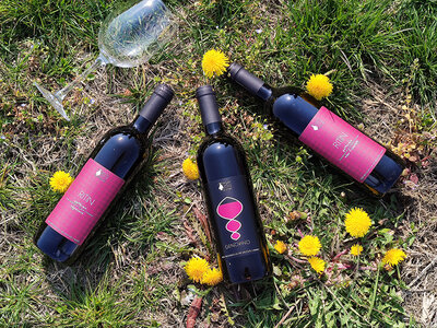 Selezione Rubino Bacchanalis: 3 vini rossi con consegna a domicilio