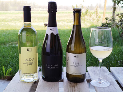 Cofanetto 3 bottiglie di vino bianco della Tenuta Rita Solari con consegna a domicilio