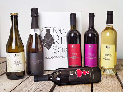 Cofanetto regalo Tenuta Rita Solari: 6 pregiate bottiglie di vino con consegna a domicilio