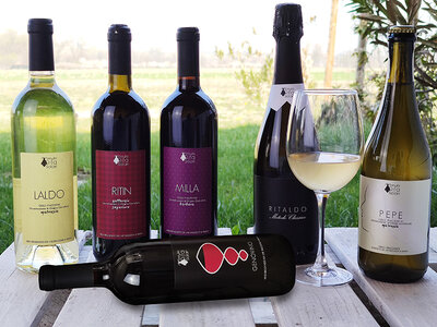 Cofanetto Tenuta Rita Solari: 6 pregiate bottiglie di vino con consegna a domicilio