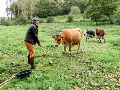 Coffret Séance de golf originale parmi les animaux en Normandie