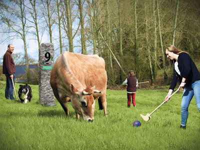 Coffret cadeau Golf au milieu des animaux et des champs pour 3 en Normandie