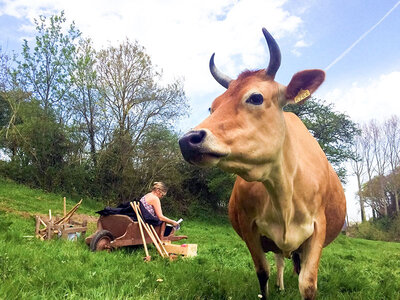 Coffret Golf au milieu des animaux et des champs pour 3 en Normandie