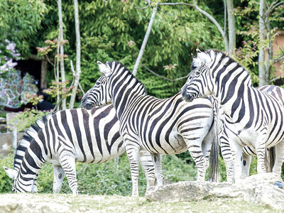 Sortie en famille au Parc Zoologique d'Amnéville