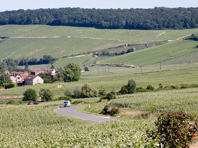 Coffret Balade en combi sur la route du champagne avec dégustation