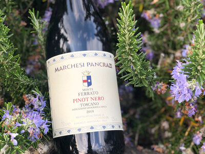 3 bottiglie di Pinot Nero firmate Marchesi Pancrazi direttamente a casa tua