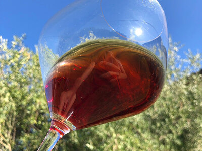 Marchesi Pancrazi: 1 pregiata bottiglia di Pinot Nero con consegna a domicilio