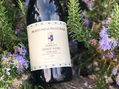 Cofanetto regalo Marchesi Pancrazi: 1 pregiata bottiglia di Pinot Nero con consegna a domicilio