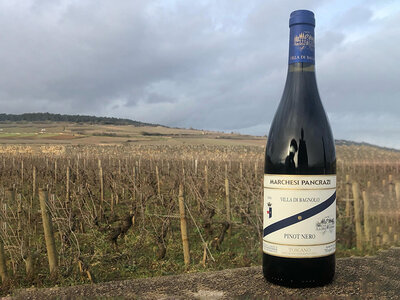 Cofanetto Marchesi Pancrazi: 6 bottiglie di vino rosé e rossi di Villa di Bagnolo